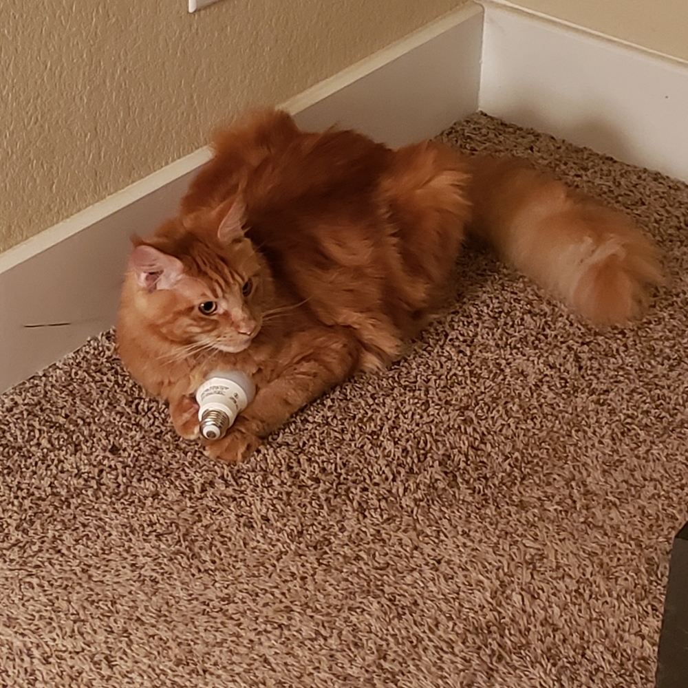 Love ❤️ Notes - Picture 15 of 16